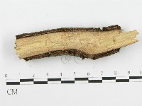 登錄號:F0002710藏品圖，第3張