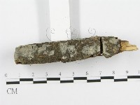 登錄號:F0002710藏品圖，第4張