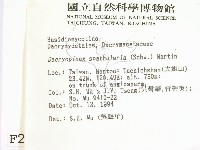 登錄號:F0002717藏品圖，第2張