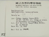 登錄號:F0002718藏品圖，第2張