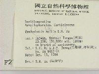 登錄號:F0002719藏品圖，第2張