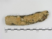 登錄號:F0002719藏品圖，第1張