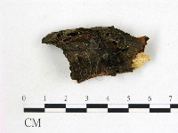 登錄號:F0002720藏品圖，第1張