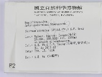 登錄號:F0002721藏品圖，第2張