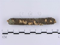 登錄號:F0002721藏品圖，第1張