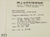 登錄號:F0002722藏品圖，第2張