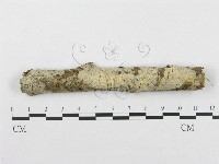 登錄號:F0002723藏品圖，第1張