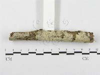 登錄號:F0002723藏品圖，第3張