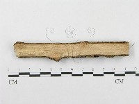 登錄號:F0002723藏品圖，第4張