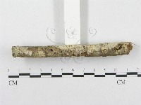 登錄號:F0002723藏品圖，第5張