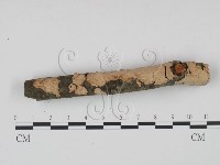 登錄號:F0002724藏品圖，第1張