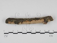 登錄號:F0002724藏品圖，第3張