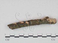 登錄號:F0002724藏品圖，第4張