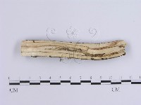 登錄號:F0002725藏品圖，第3張