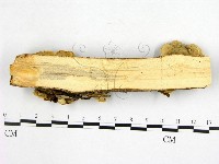 登錄號:F0002726藏品圖，第3張