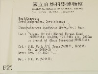 登錄號:F0002727藏品圖，第2張