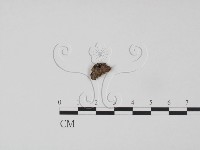 登錄號:F0002727藏品圖，第1張