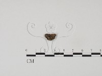 登錄號:F0002727藏品圖，第3張