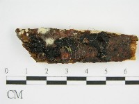 登錄號:F0002728藏品圖，第1張