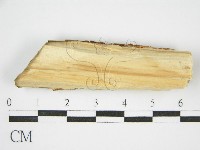 登錄號:F0002728藏品圖，第3張