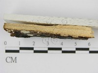 登錄號:F0002728藏品圖，第4張