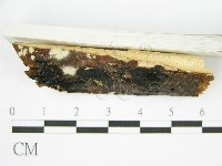 登錄號:F0002728藏品圖，第5張