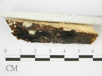 登錄號:F0002728藏品圖，第6張