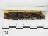 登錄號:F0002728藏品圖，第7張