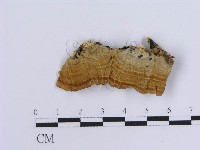 登錄號:F0002730藏品圖，第3張