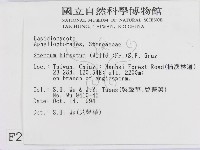 登錄號:F0002731藏品圖，第2張