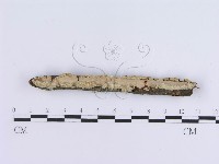 登錄號:F0002731藏品圖，第1張