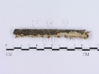 登錄號:F0002731藏品圖，第3張