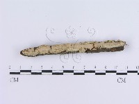 登錄號:F0002731藏品圖，第4張