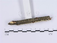 登錄號:F0002731藏品圖，第5張