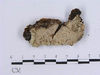 登錄號:F0002732藏品圖，第1張