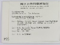 登錄號:F0002735藏品圖，第2張