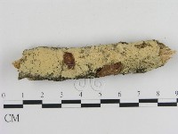 登錄號:F0002736藏品圖，第1張