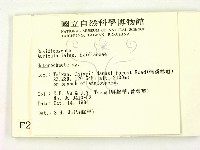 刺皮菌屬藏品圖，第2張