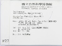 登錄號:F0002738藏品圖，第2張