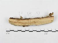 登錄號:F0002738藏品圖，第4張