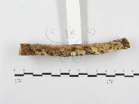 登錄號:F0002738藏品圖，第5張