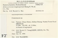 登錄號:F0002739藏品圖，第3張
