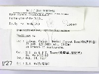 登錄號:F0002741藏品圖，第2張