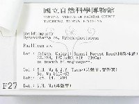 登錄號:F0002741藏品圖，第3張