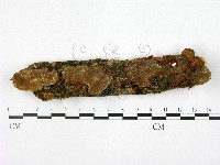 登錄號:F0002741藏品圖，第1張