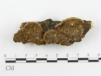 登錄號:F0002741藏品圖，第4張