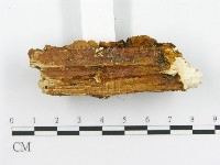 登錄號:F0002741藏品圖，第8張