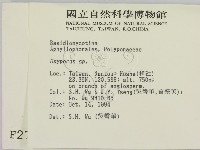 銳孔菌屬藏品圖，第2張
