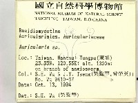 木耳屬藏品圖，第2張