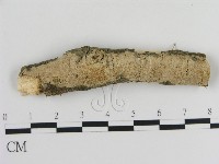 登錄號:F0002746藏品圖，第1張